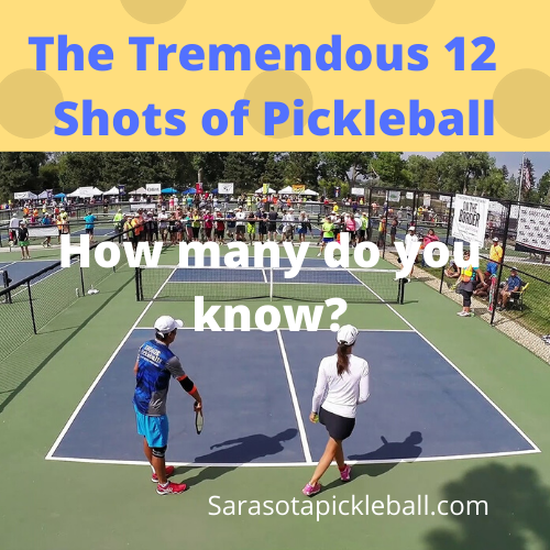 A picture of Pickleball Terry, Terry Ryan, and Coach Russell of Suncoast Pickleball