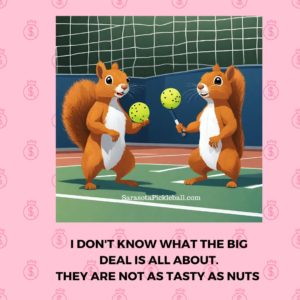 A comic of 2 squirrels playing pickleball